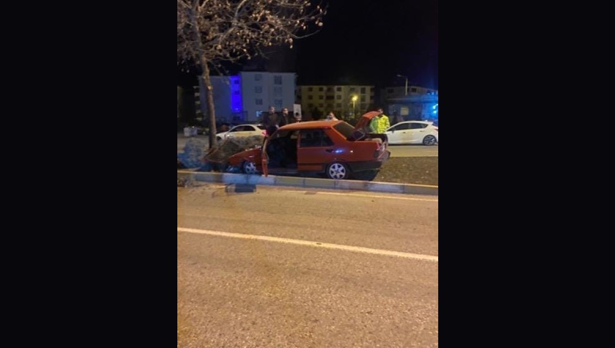 Elazığ'da Fiat Tofaş otomobil ağaca çarptı: 1 yaralı