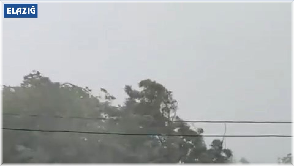 Elazığ'da fırtına etkili oldu