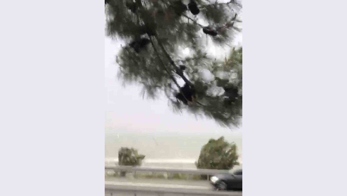 Elazığ'da fırtına etkili oldu