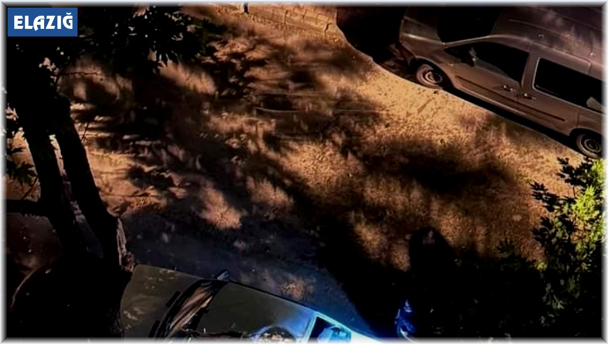 Elazığ'da fırtınanın etkisiyle araçların üzerine ağaç devrildi