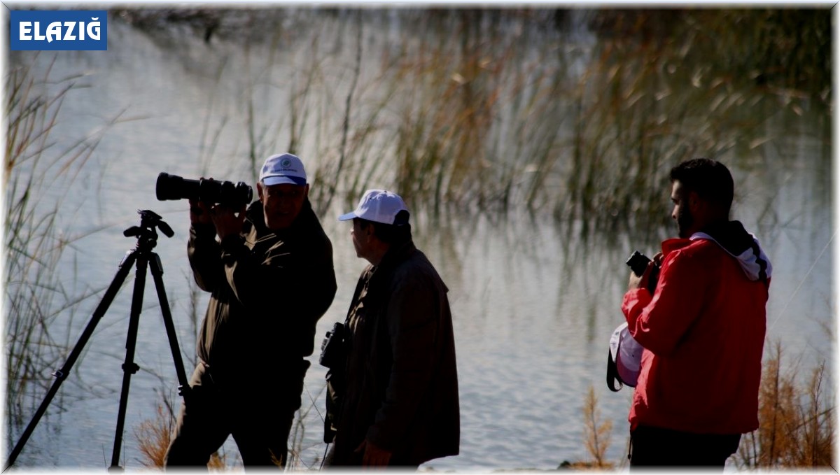 Elazığ'da foto safari etkinliği