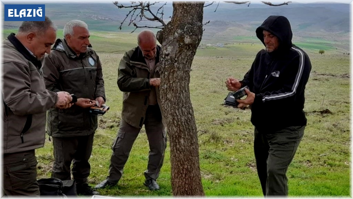 Elazığ'da fotokapanların bakımı yapıldı