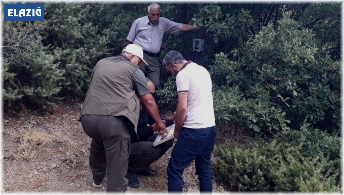 Elazığ'da fotokapanların konum ve kart değişimleri yapıldı