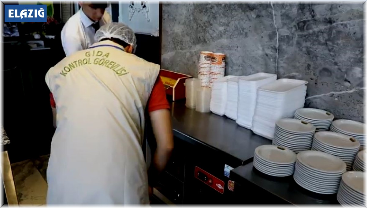 Elazığ'da gıda denetimi