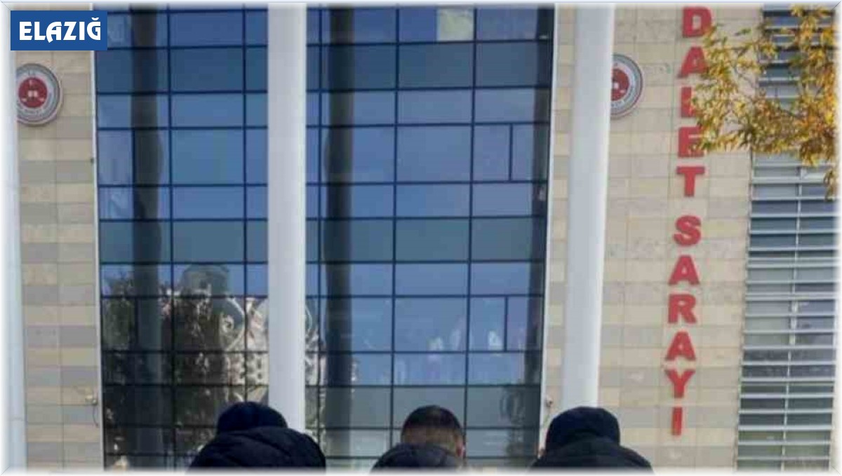 Elazığ'da göçmen kaçakçılığı operasyonu: 1 kişi tutuklandı