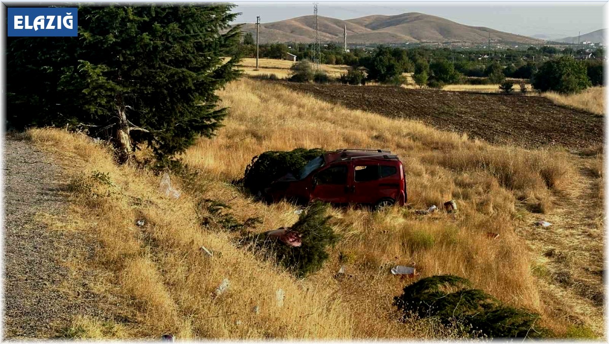 Elazığ'da hafif ticari araç şarampole uçtu: 1 ölü, 4 yaralı