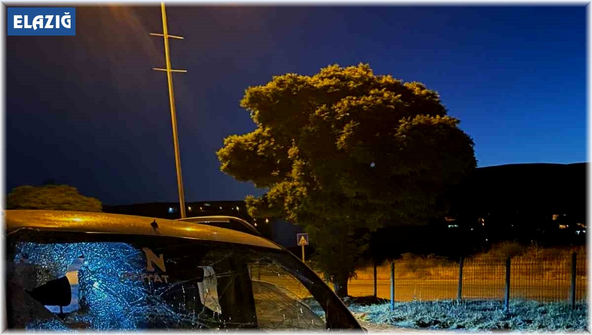 Elazığ'da hafif ticari aracın çarptığı inek telef oldu