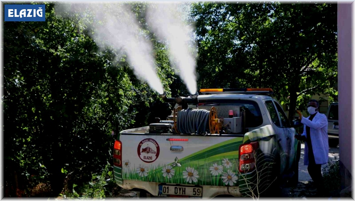 Elazığ'da havaların ısınmasıyla ilaçlama çalışmalarına hız verildi