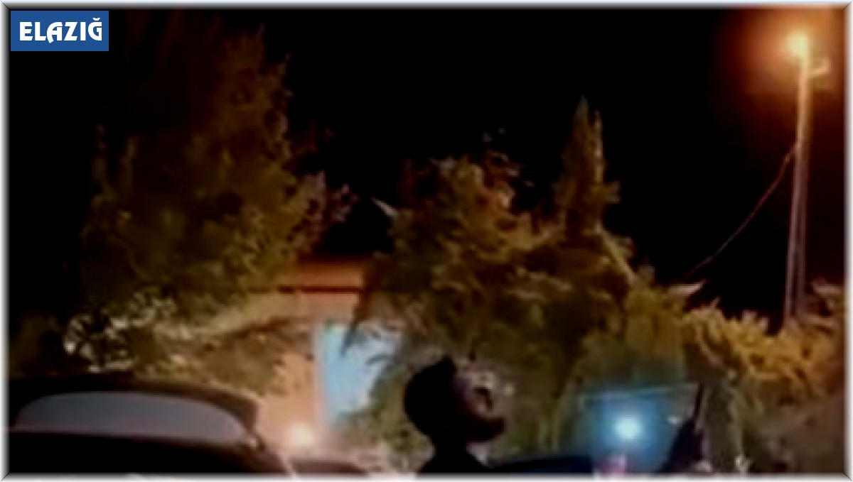 Elazığ'da havaya ateş eden şahıs yakalandı