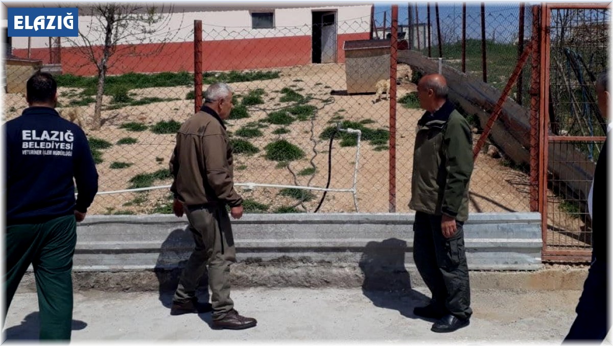 Elazığ'da Hayvan Bakımevinde denetim