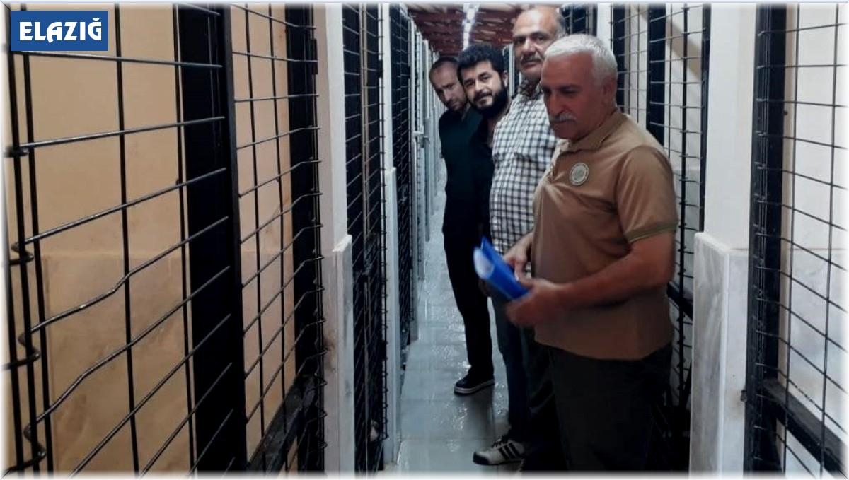 Elazığ'da Hayvan Bakımevinde denetim