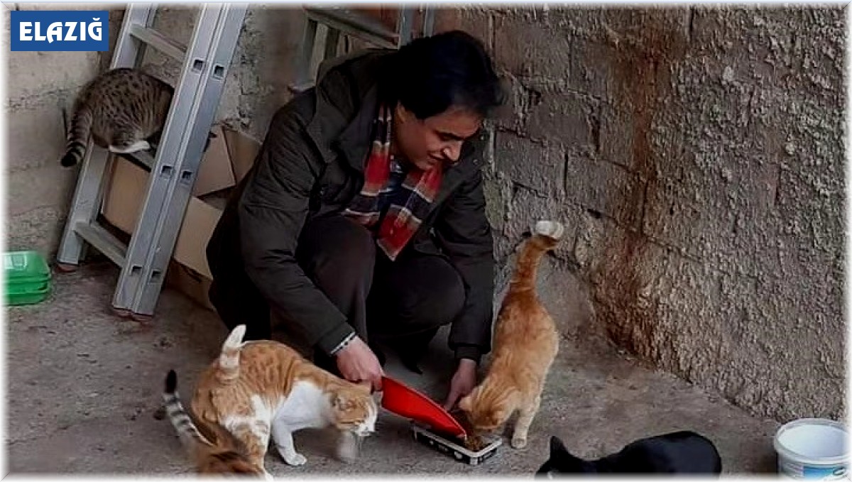 Elazığ'da hayvan sever vatandaş ,sokak hayvanlarına gözü gibi bakıyor