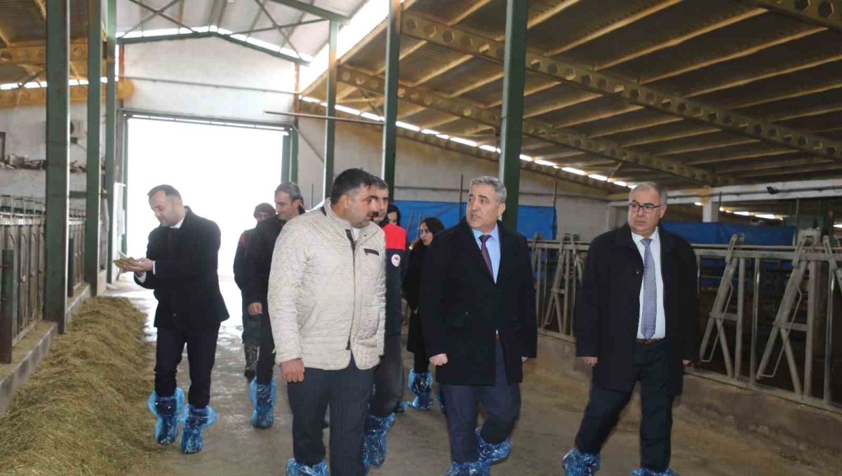 Elazığ'da hayvancılık altyapısı yerinde incelendi
