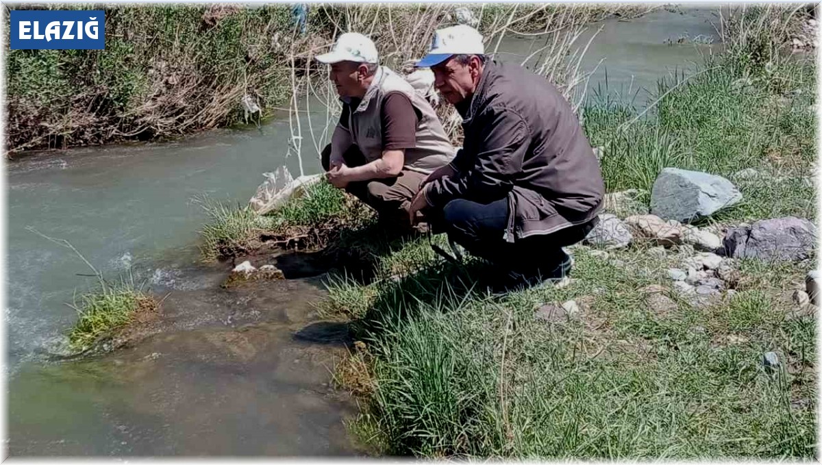Elazığ'da Hazar İnci ve Siraz Balığı izleme çalışması yapıldı