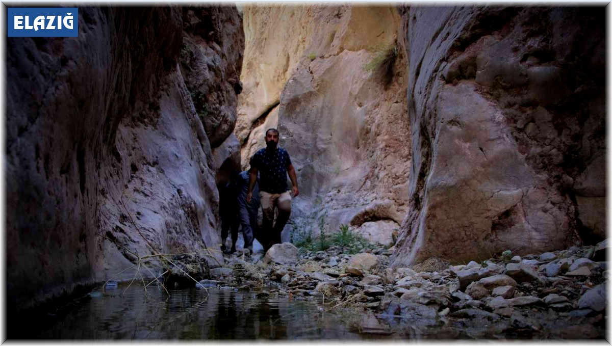 Elazığ'da heyecanlandıran keşif, Gümüşçay Kanyonu