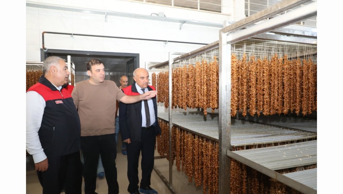 Elazığ'da hibe desteği alan işletmeler denetlendi