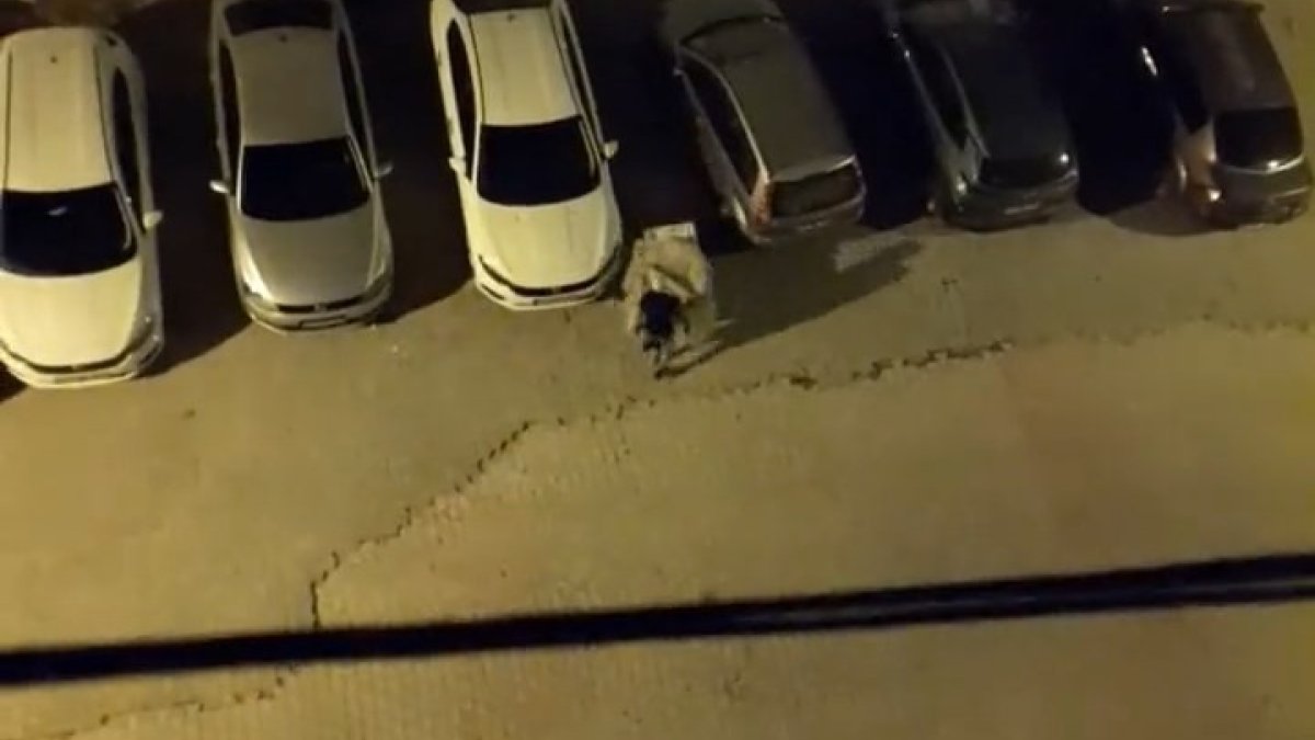 Elazığ'da hırsız, çaldığı televizyonu el arabasıyla götürdü