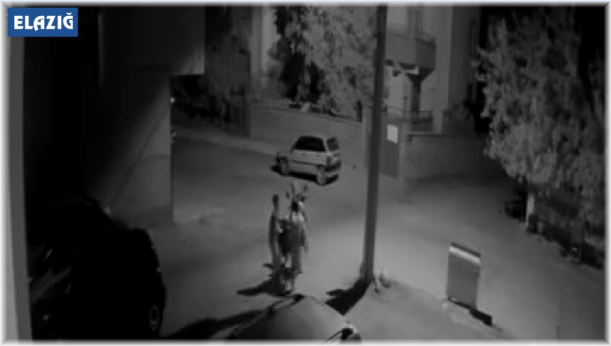 Elazığ'da hırsızlar park halindeki motosikleti kucaklayıp çaldı