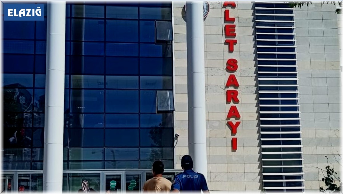 Elazığ'da hırsızlık şüphelisi tutuklandı