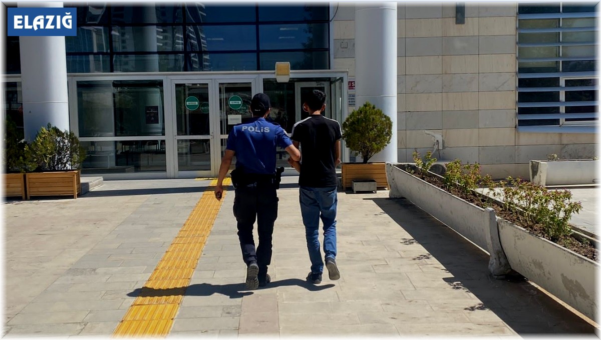 Elazığ'da hırsızlık şüphelisi yakalandı