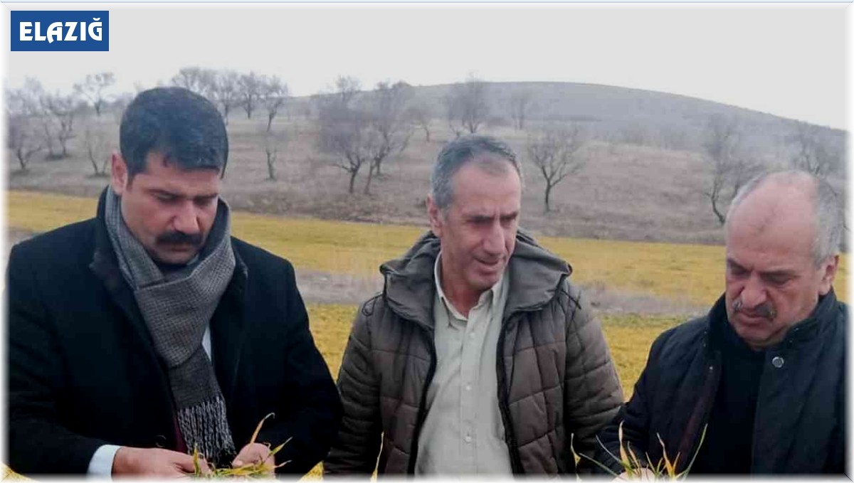 Elazığ'da hububat ve meyve ağaçlarında fenolojik gözlem çalışması yapıldı