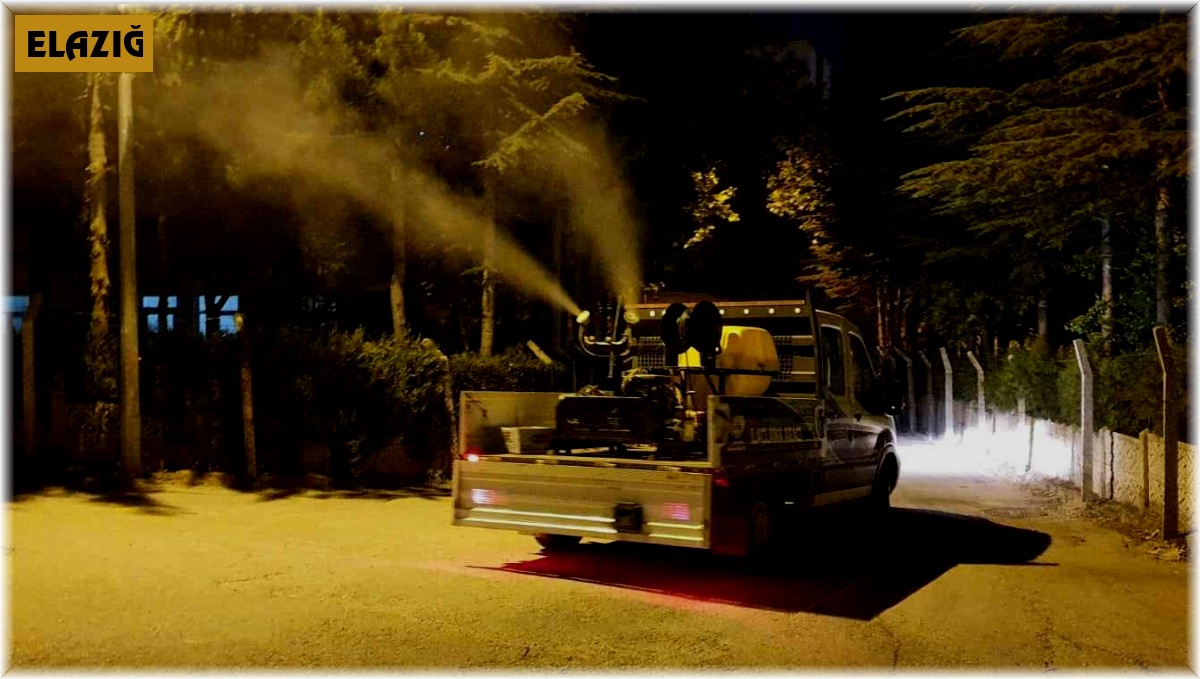 Elazığ'da ilaçlama çalışmaları sürüyor