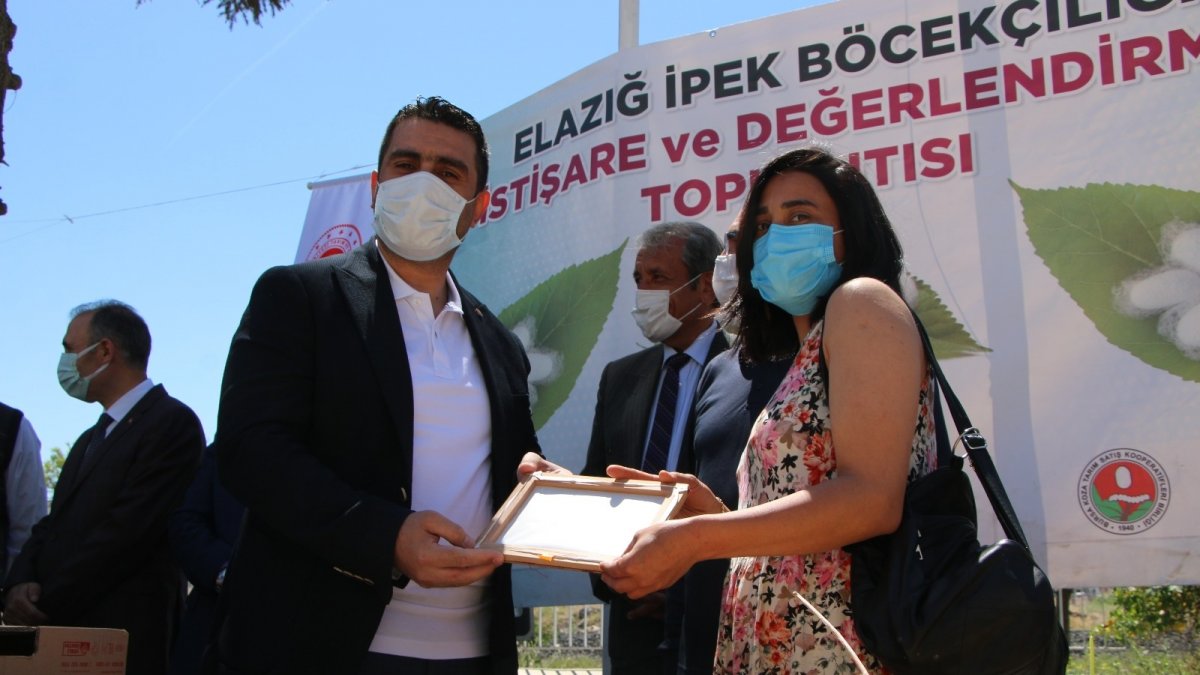 Elazığ'da ipek böcekçiliği yeniden canlanıyor