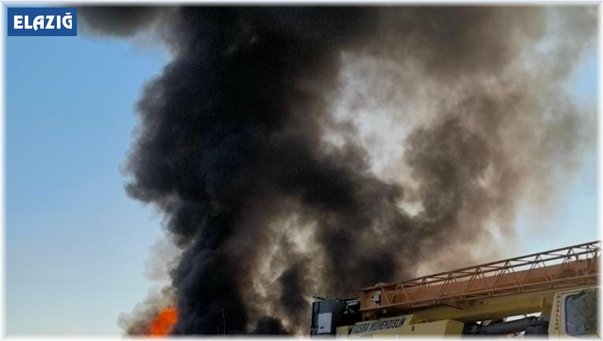 Elazığ'da iş makinesi yüklü tır, alev topuna döndü