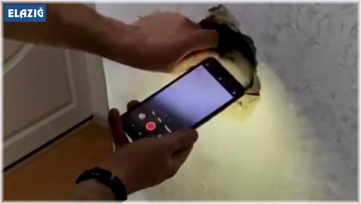 Elazığ'da itfaiyeden güvercin kurtarma operasyonu