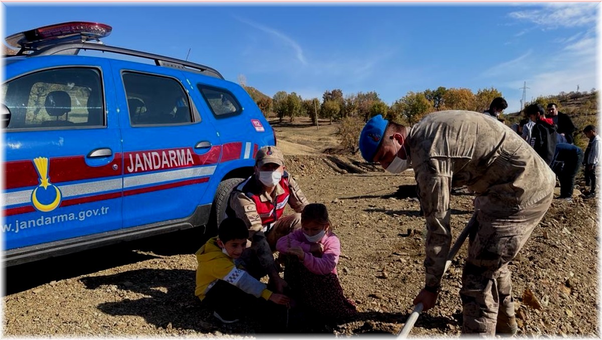 Elazığ'da jandarma ekipleri bir günde 8 bin 300 fidan dikti