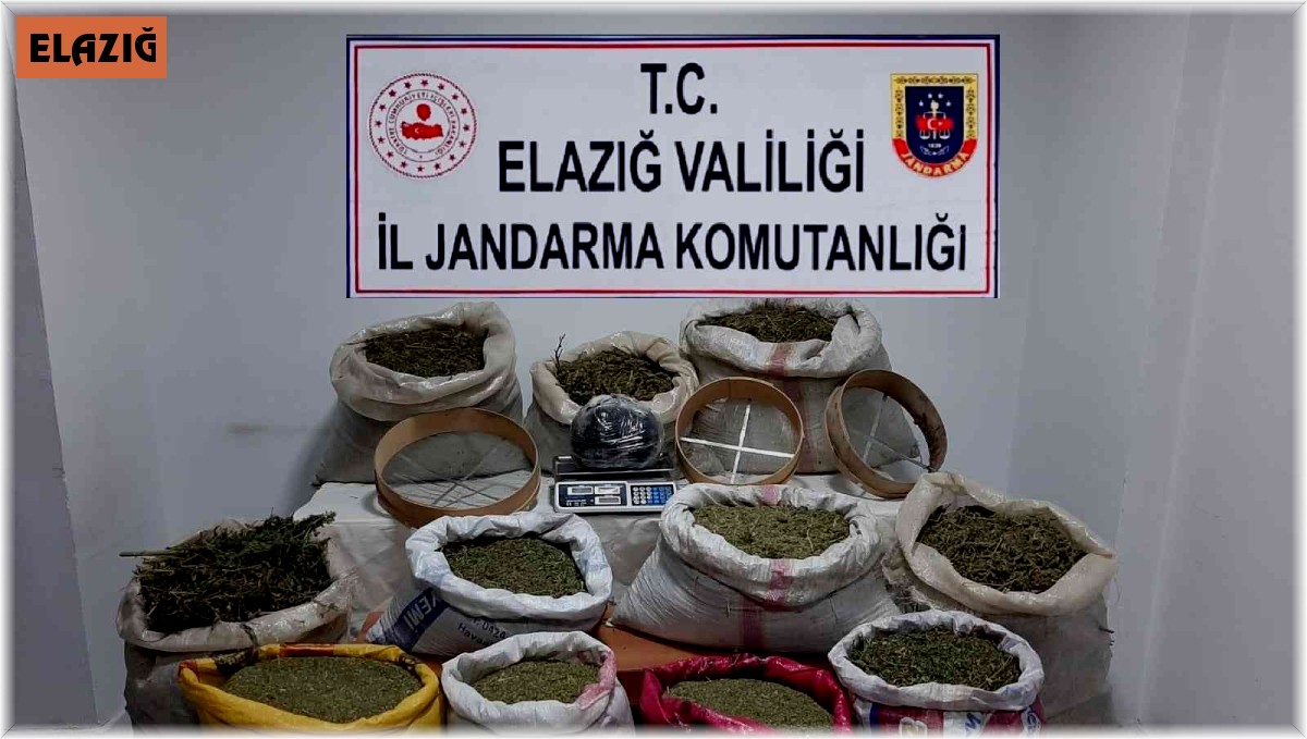 Elazığ'da jandarma ekipleri bir yılda 611 operasyon düzenledi: 670 şüpheli yakalandı