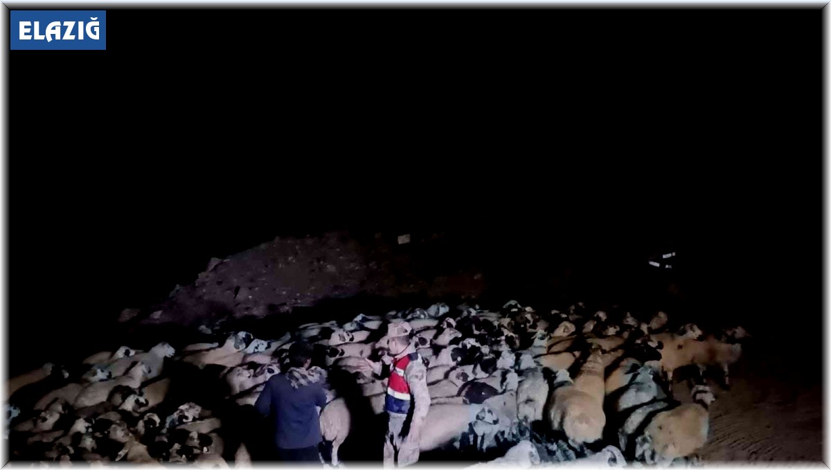 Elazığ'da jandarma kaybolan hayvanları dron ile buldu