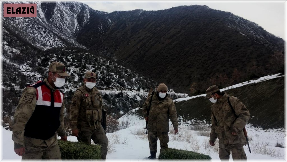 Elazığ'da jandarma, yaban hayatı için doğaya yem bıraktı