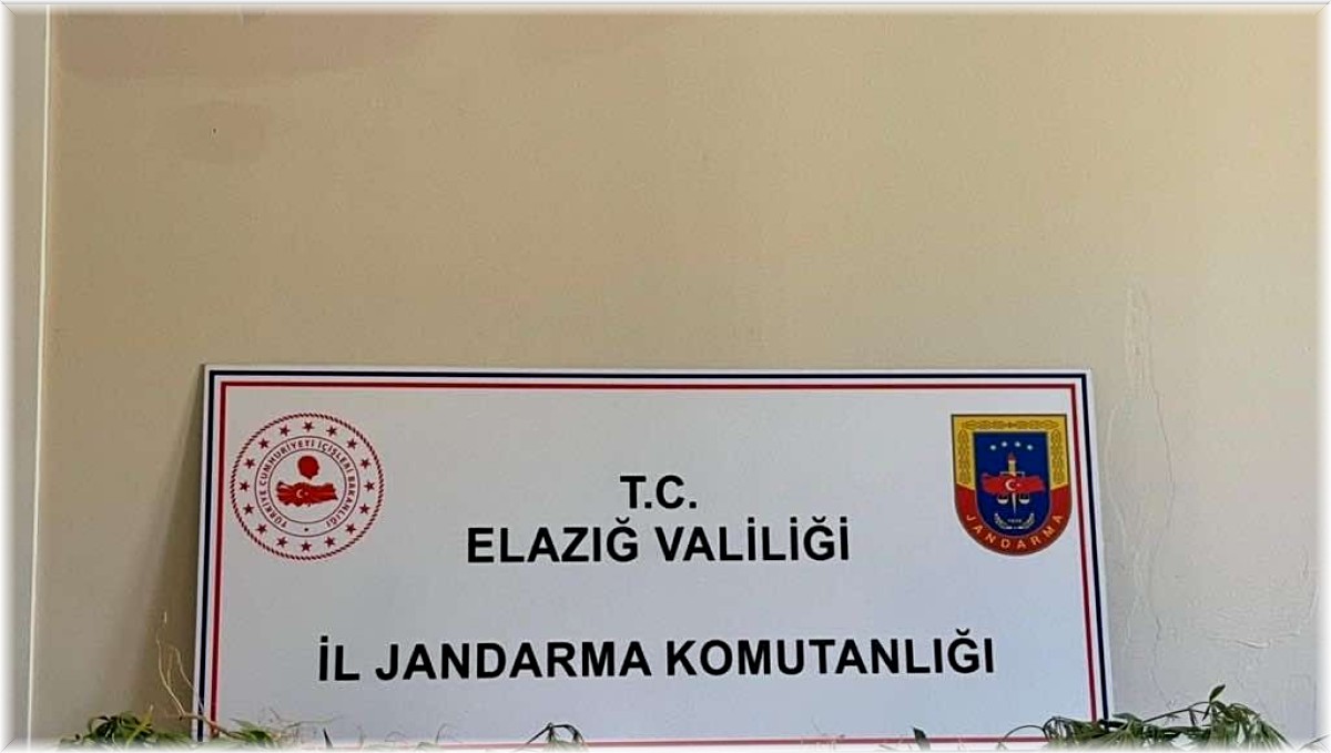Elazığ'da jandarmadan eş zamanlı uyuşturucu operasyonu