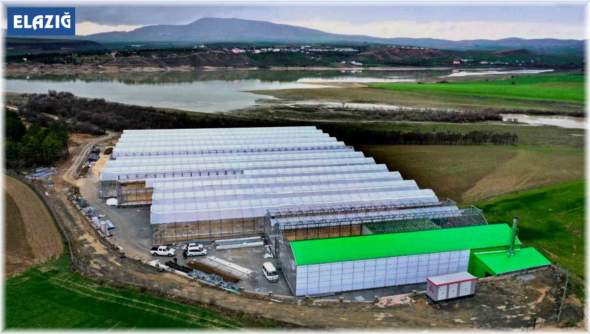 Elazığ'da jeotermal sera sahasının ilk etap çalışmaları tamamlandı