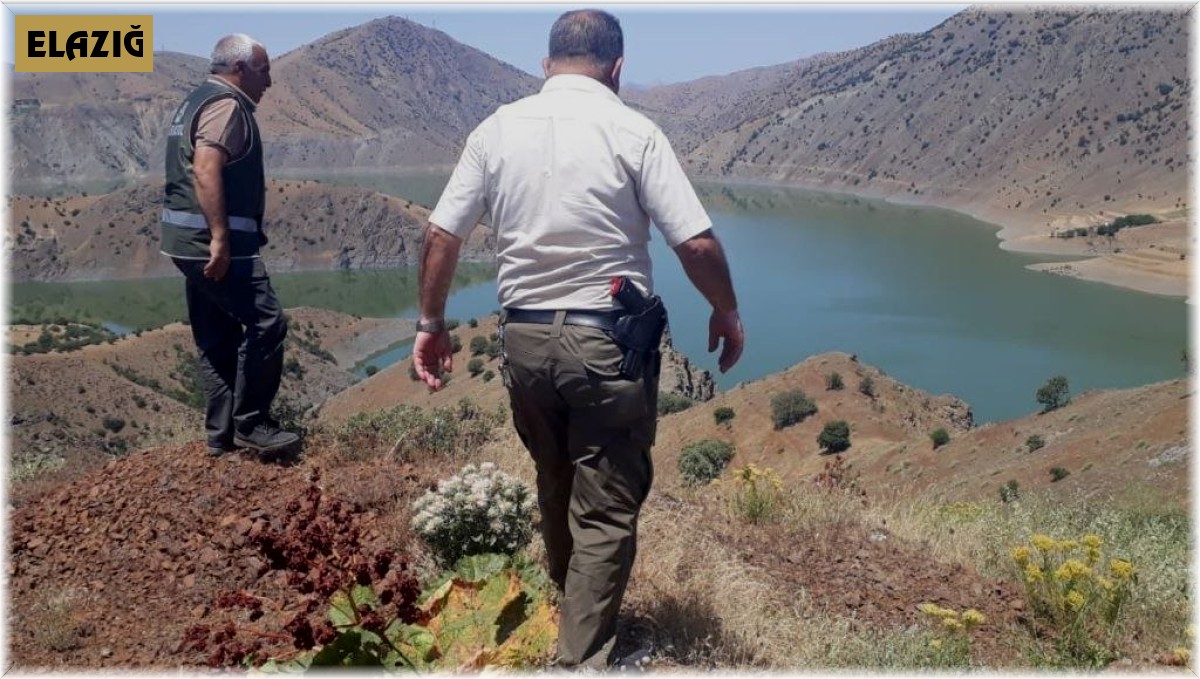 Elazığ'da kaçak avcılığın önlenmesi için denetimler sürüyor