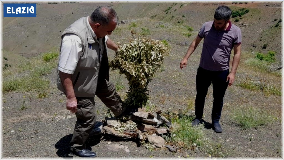 Elazığ'da kaçak avcılığın önlenmesi için denetimler sürüyor