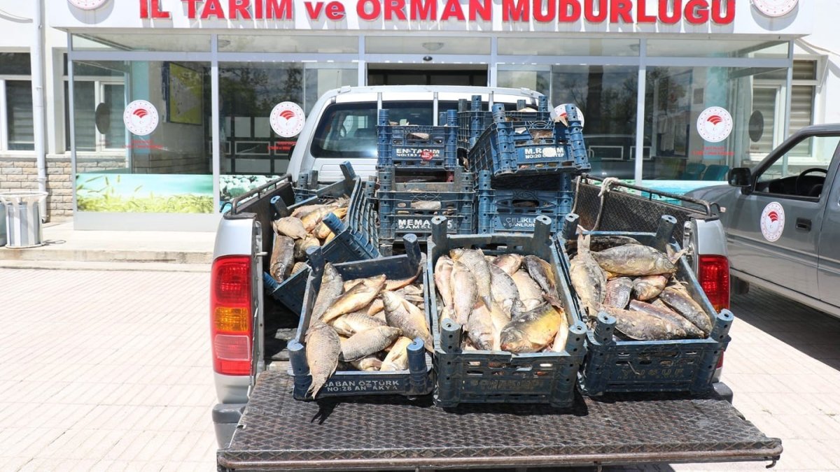 Elazığ'da kaçak avlanan 84 kişiye 350 bin lira ceza