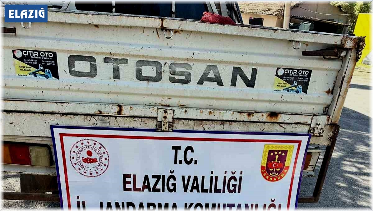 Elazığ'da kaçak balık avı yapan şüpheli yakalandı