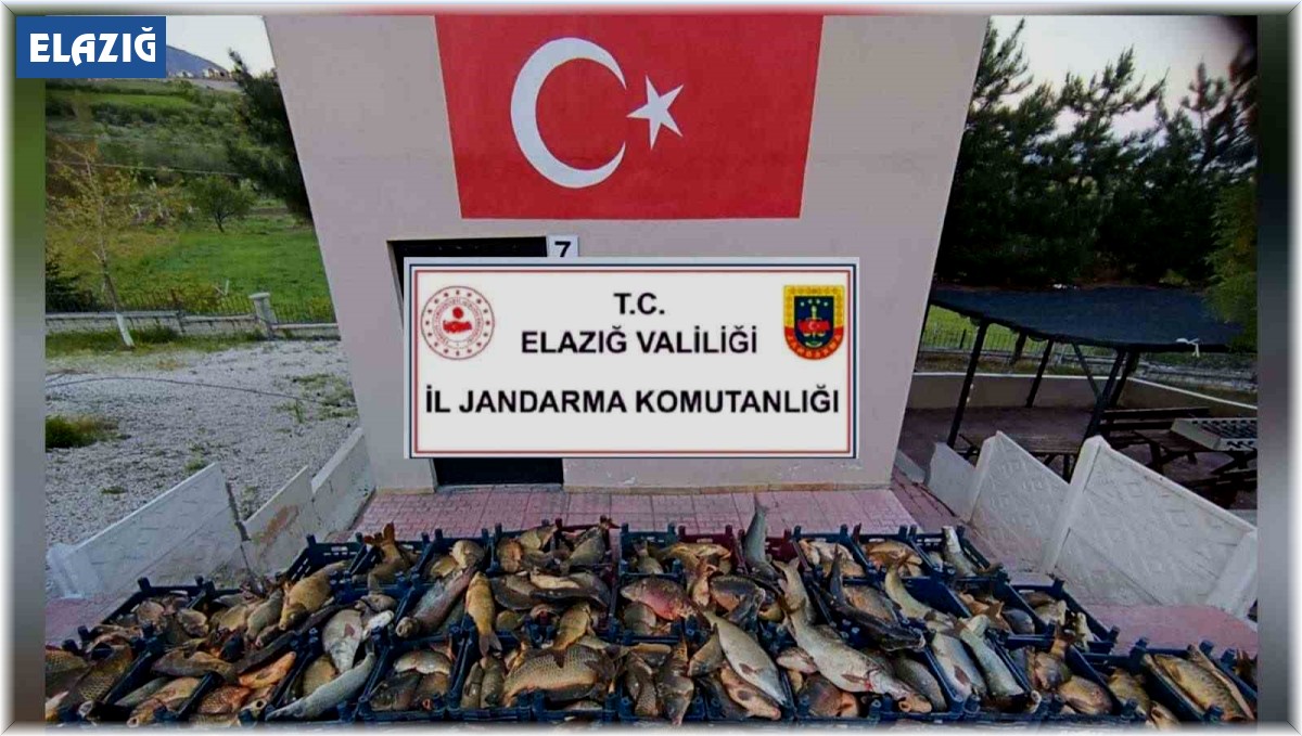 Elazığ'da kaçak balık avına 16 bin lira ceza