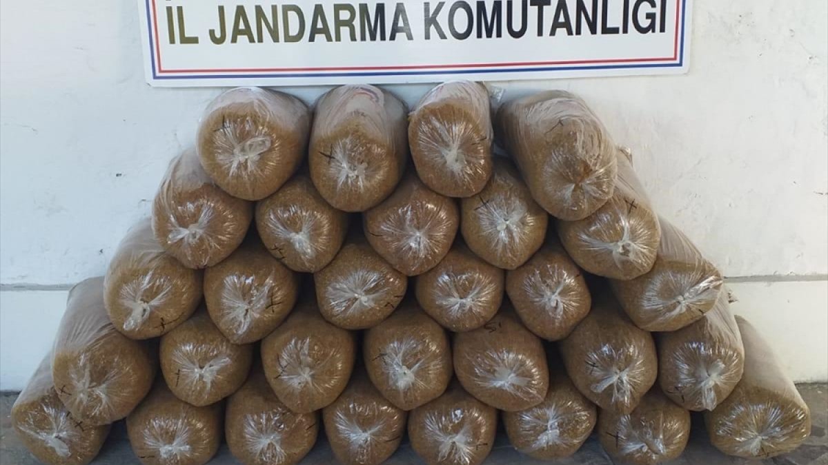 Elazığ'da kaçakçılık operasyonu