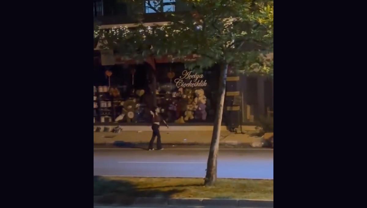 Elazığ'da kadın, bir iş yerine taşla saldırdı