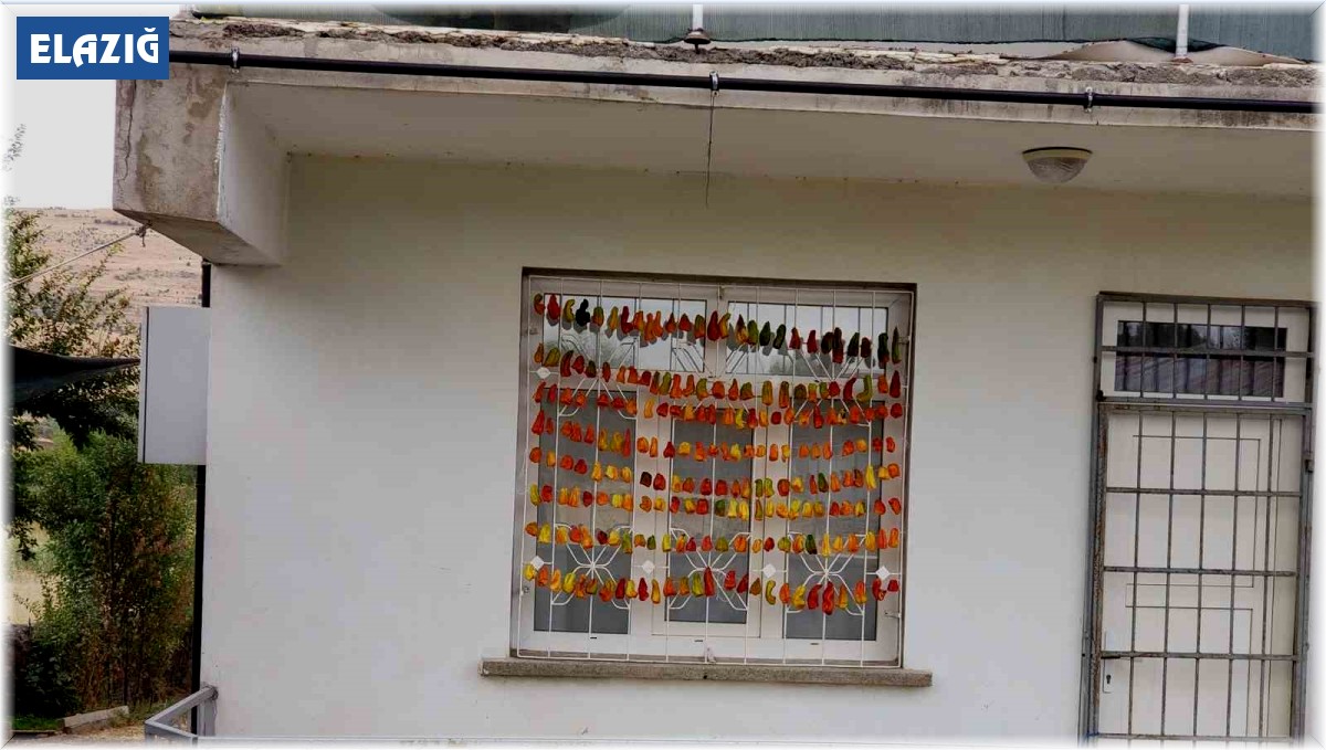 Elazığ'da kadınların kış hazırlığı renkli görüntüler oluşturdu