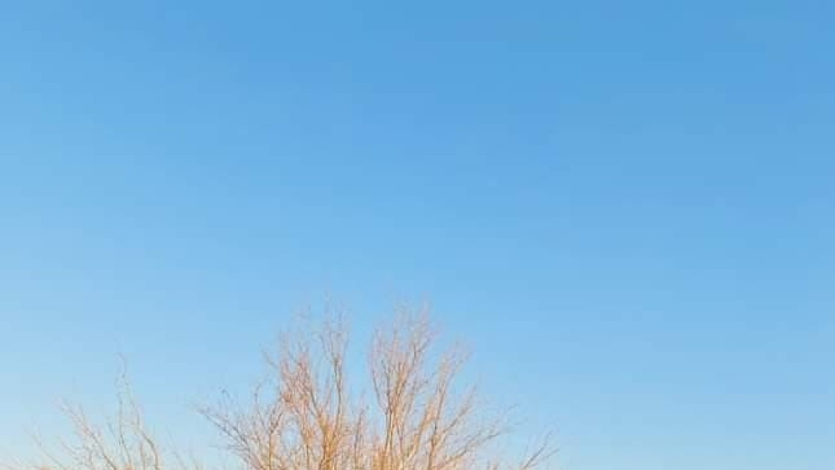 Elazığ'da kamyon yoldan çıktı, sürücü yaralandı