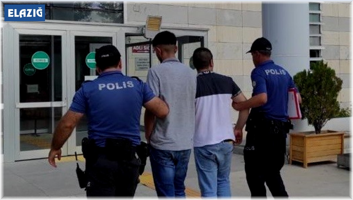 Elazığ'da kamyonet çalan şüpheli tutuklandı