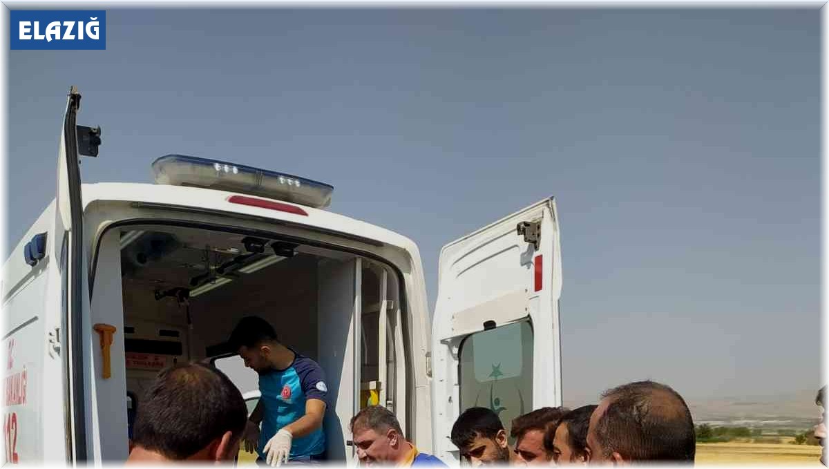 Elazığ'da kamyonet şarampole yuvarlandı: 3 yaralı