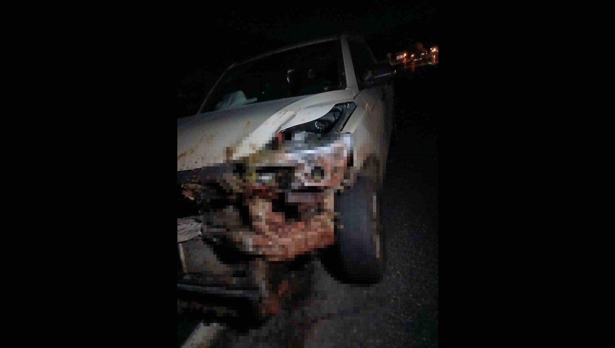 Elazığ'da kamyonet sürüye çarptı: 30 küçükbaş hayvan telef oldu