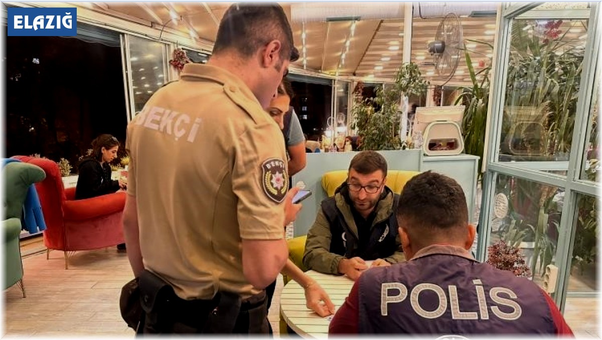Elazığ'da kapsamlı asayiş uygulaması: 90 ekip, 500 personel katıldı