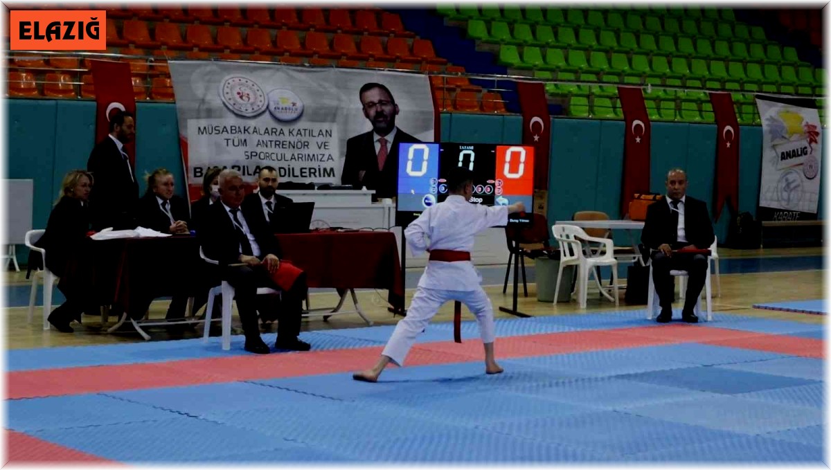 Elazığ'da karate grup müsabakaları başladı