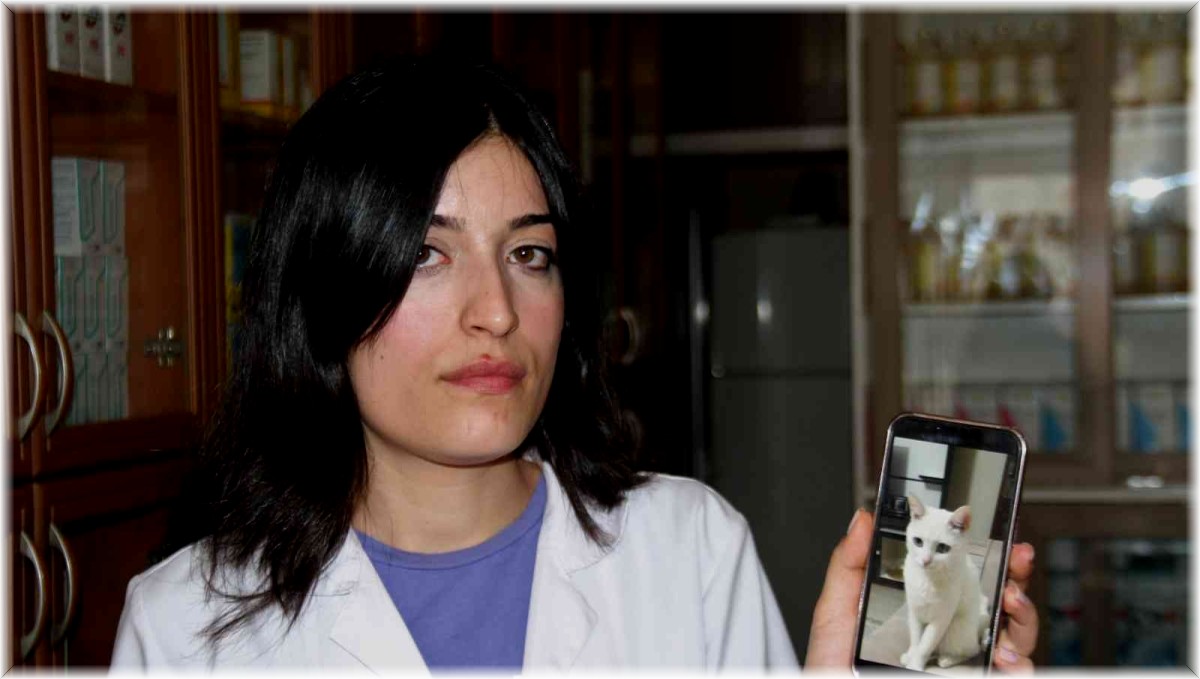 Elazığ'da kaybolan kedisini sokak sokak arıyor